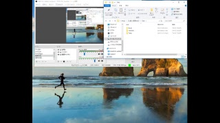 RIMMOD作成の説明