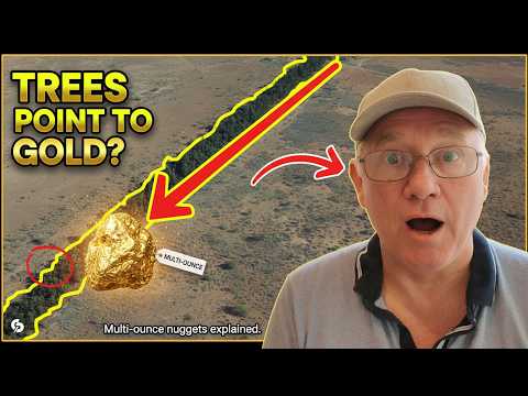 How a Line of Trees Can Point Straight to Multi-Ounce Gold — Watch the Secret Revealed