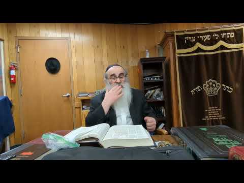 Why Dovid Hamelech told his soldiers to divorce their wives before going to battle |Ein Yaakov Shiur