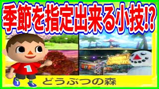 どうぶつの森の季節を指定してレースが出来る裏ワザがあるらしい⁉ 【マリオカート8デラックス/マリオカート8DX】実況