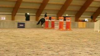 L'étalon de Grand Prix First Class vendu en France