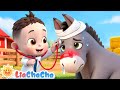 My Donkey Song 🫏 Animal Songs For Kids Boo Boo Song Nursery Rhymes Kids Songs LiaChaCha