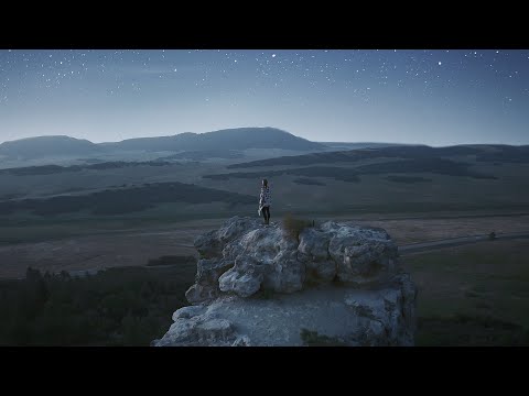 Free Download Statement SFX WAV