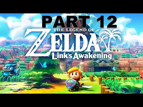 Zelda: Link's Awakening - Clean Color Dungeon and kill the boss, Gameplay Walkthrough (Switch)