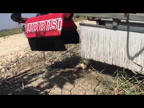 Video 10