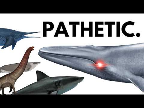 Is There An Animal Bigger Than The Blue Whale?