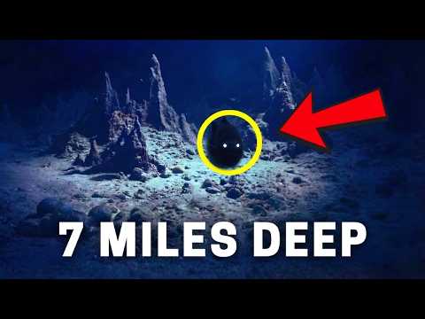 China's Shocking Discovery At The Bottom Of Mariana Trench