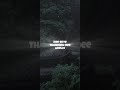 Song Status Mazhaye Thoomazhaye PATTAM POLE Whatsapp Status