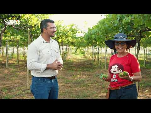 Programa Caminhos do Sertão - 04/04/2026