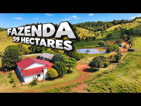FAZENDA em SANTA CATARINA | 59 hectares pronta pra pecuária e casa boa R$ 2.390.000