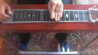 Bob Dylan - Forever Young (pedal steel)