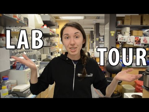 Lab Tour!