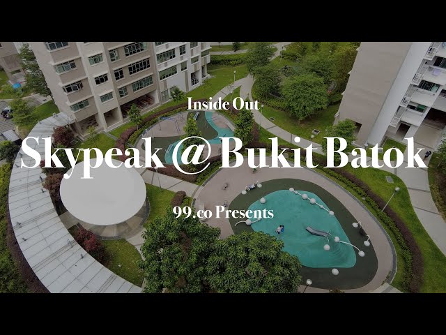 293B Bukit Batok Street 21 Project Photo 0