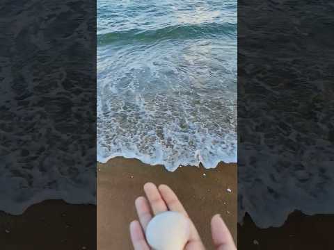 Beach Day Bliss 🏝️☀️with Sea Treasures 🐚 #shorts #trending #ragii