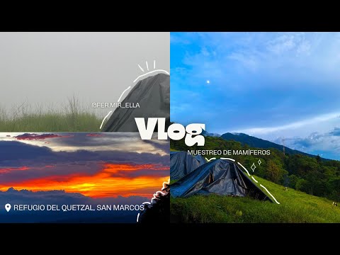 Días que huelen a café y neblina | San Rafael pie de la cuesta, Guatemala