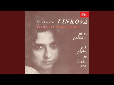 Televizní dívka Líza (Das Tapfere Schneiderlein)