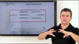 Dicas para o ENEM - Biologia - Ecologia