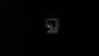 #1 BIOHAZARD requiem