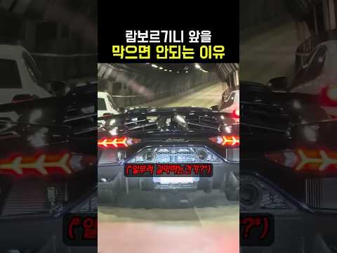 람보르기니 앞을 막으면 안되는 이유