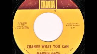 Marvin Gaye ...  Change what you can...1967