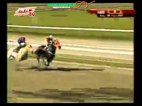 LA RINCONADA 9 CARRERA DOMINGO 07 DE DICIEMBRE DEL 2014