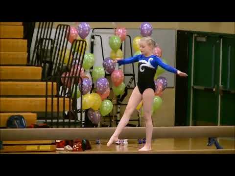 2012 Gymnastics State qualifier