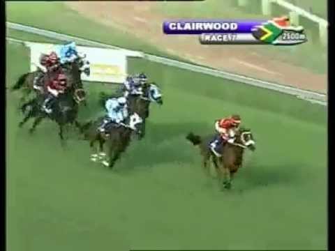 Posh Boy wins his 8th race with Anthony Delpech beating Seal easily