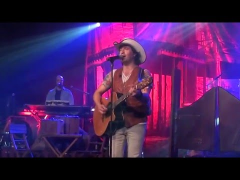 Zé Amaro : Senhora Cegonha - Roseira enxertada