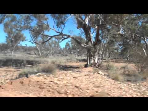 03 Broken windmill and the drive in to Ruby Gap