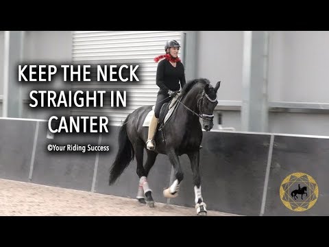 HOW DO YOU KEEP YOUR HORSES NECK STRAIGHT IN THE CANTER? - Dressage Mastery TV Episode 247