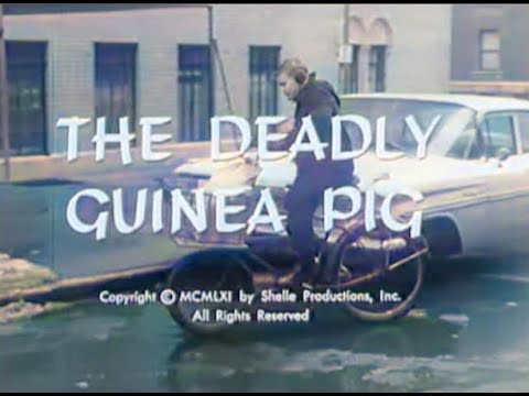 Naked City S02E18 The Deadly Guinea Pig (1961) Colorized
