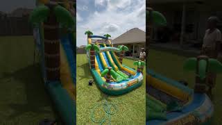 Building a Mud Pool for a Relaxing Bath