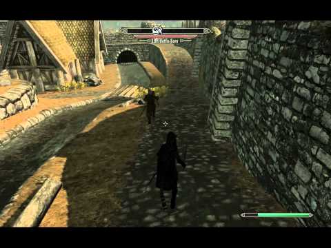 skyrim - Vignar attacks Lars Battle-Born.