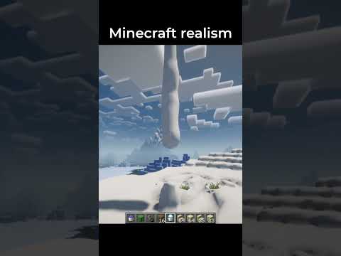 Minecraft Realism
