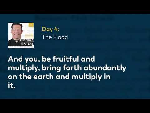 Dia 4 O Dilúvio — Tradução A Bíblia em um ano com Pe. Mike Schmitz - Português