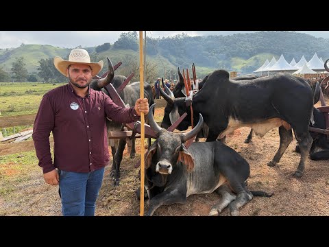 Encontro de carreiros em Congonhal-MG / 2026