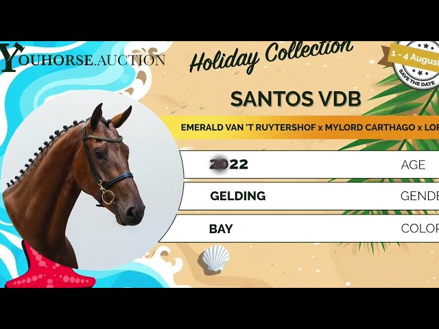 Santos loose jumping 1 year ago