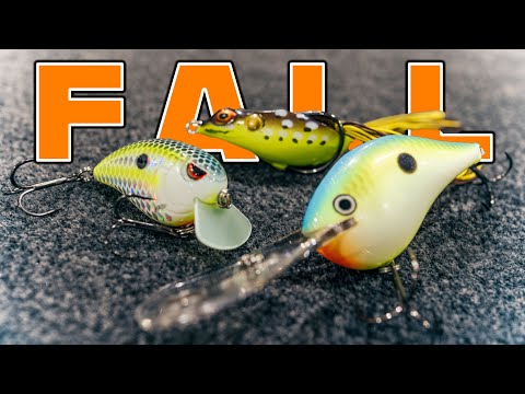 Where Do Bass Go During The Fall Transition? (And How To Catch Them)