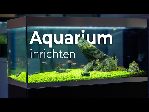Show Aquarium inrichten! | Oase HighLine 300 - Room Divider | AquastoreXL