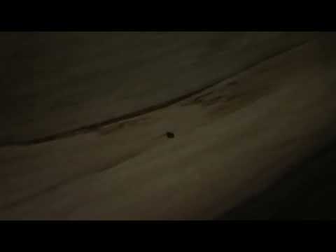 Super 8 - It was very nasty when I pulled back the sheets there was hair blood stains and...