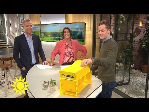 Triss-skraparen: ”Jag kommer dra den första nitlotten som har funnits” - Nyhetsmorgon (TV4)