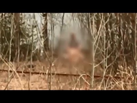 могли ошибиться? порно мышцы влагалища забавный вопрос