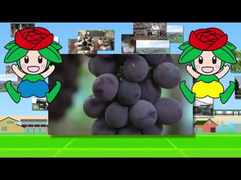 伊奈町イメージアップ動画　ダイジェスト　英語　MP4