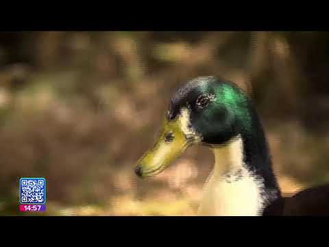 Imagen Noticias Puebla con Juan Carlos Valerio