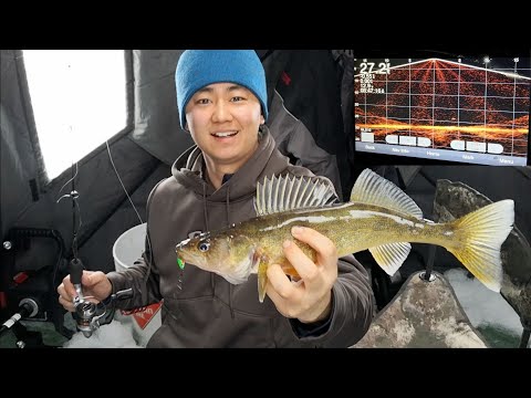 Garmin Panoptix LiveScope Fish Slam (Ice Fishing Walleye, Perch &amp; Cisco)