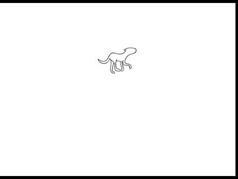 rdog run animation