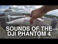 Sounds of the DJI Phantom 4 Drone (ASMR)