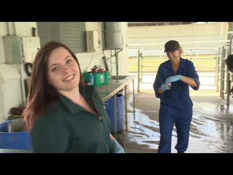 Just the Job Series 9 Episode 8