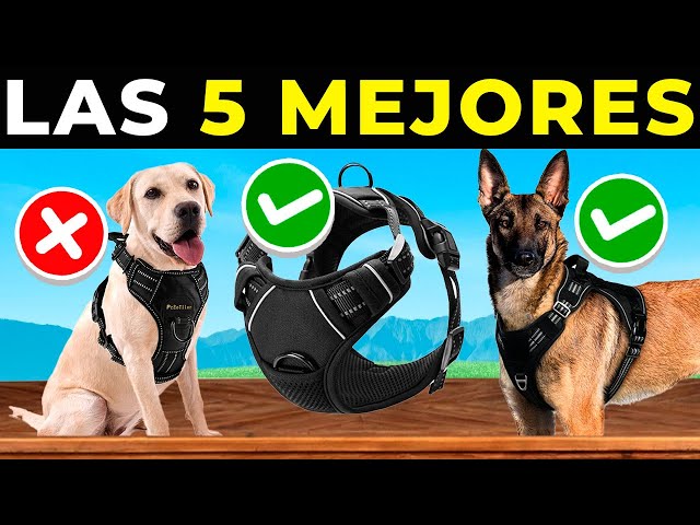 Vídeo relacionado con Paquete de 2 Cables de extensión de Metal a Prueba de masticación, Correa Resistente sin enredos para Cualquier Correa, Collar y arnés, Extensor de Correa de Perro Negro