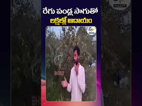 Nalanda Youth Earns Lakhs from Grape Farming!